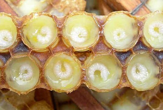Peru pieniņš palīdz paātrināt dzimumlocekļa augšanu